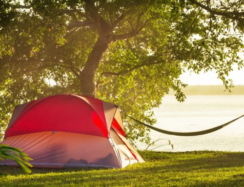 Must Know Spring Camping Tips