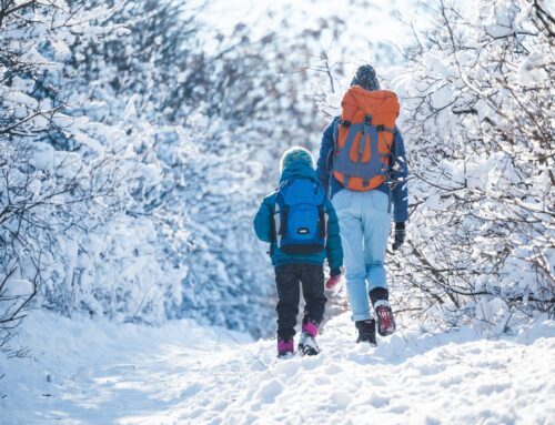 On-the-Move Winter Hiking Tips