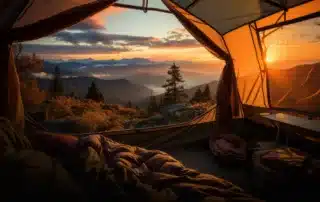 Beat the Heat_ How to Camp Comfortably at Acorn Acres in High Summer
