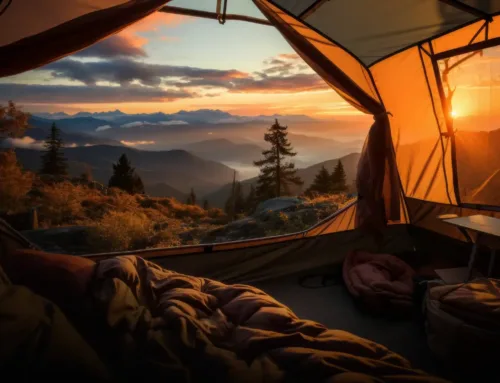 Beat the Heat: How to Camp Comfortably at Acorn Acres in High Summer