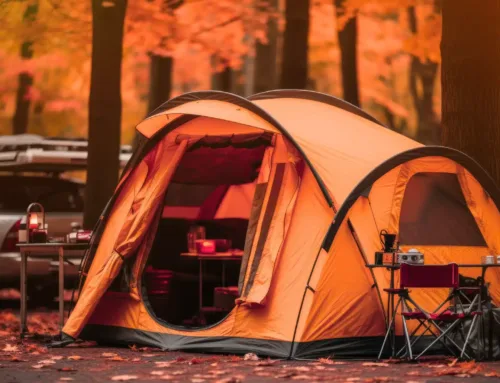 Fall Foliage Camping: Best Times & Trails Near Acorn Acres