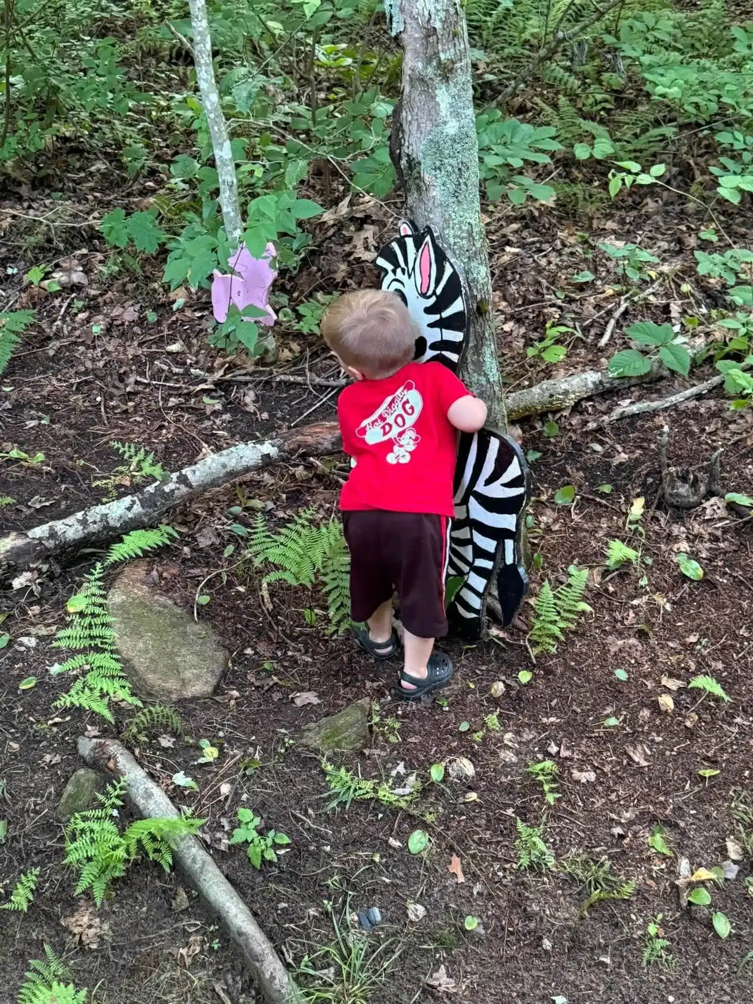 Young camper exploring a wooded campsite in Bozrah CT
