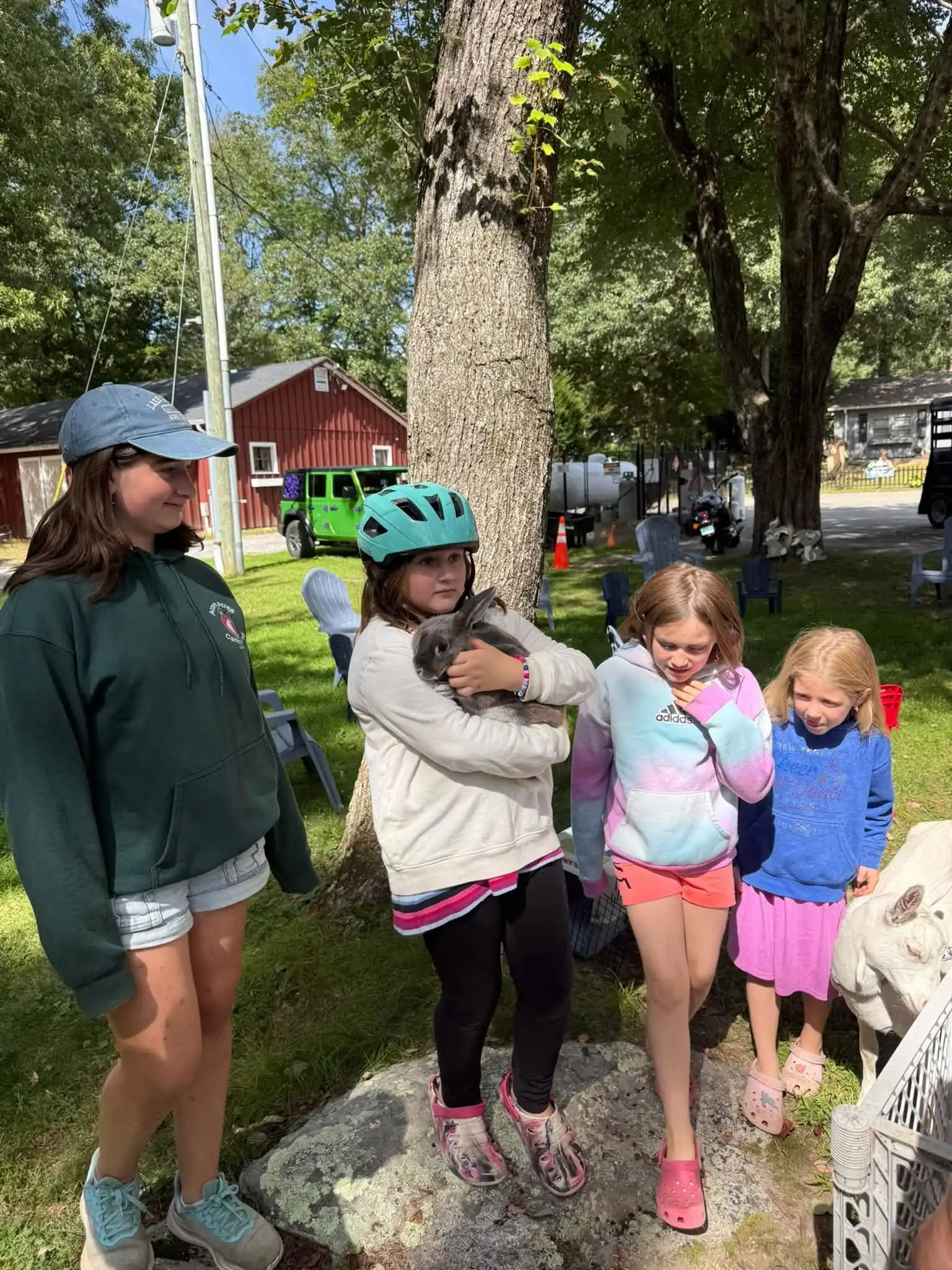 Children gathered beside a tree, including a child holding a small animal, at Acorn Acres Campground in Bozrah, CT
